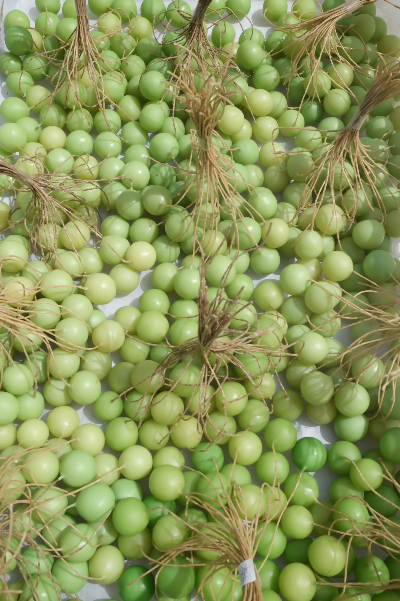 Green grape candle production details